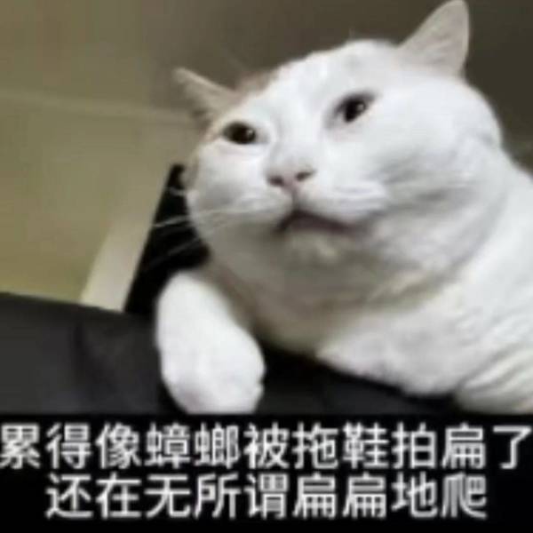 魔法泥巴