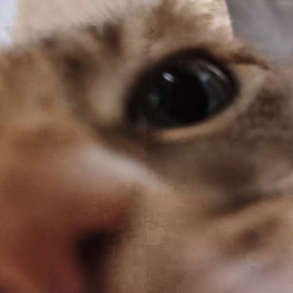 金元宝
