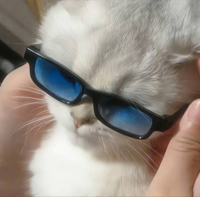 llll
