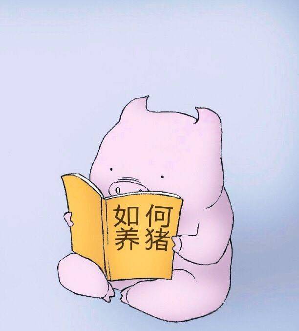 网络不佳