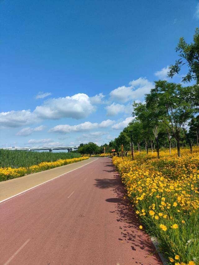 清清