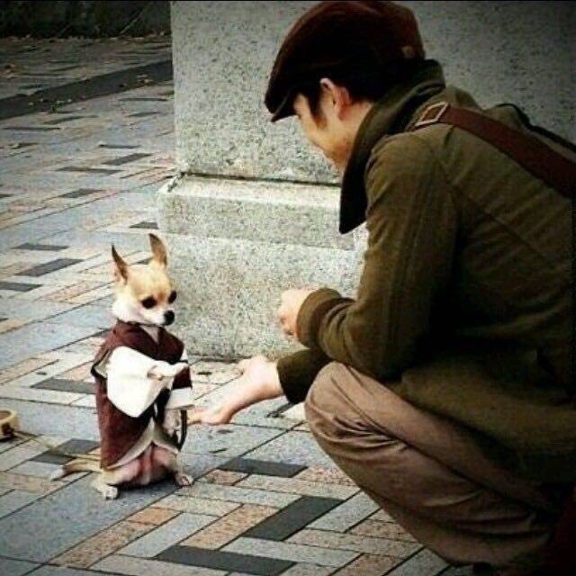 格格巫