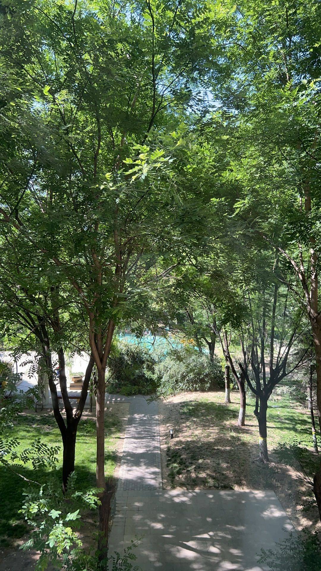 智慧少女不要直发