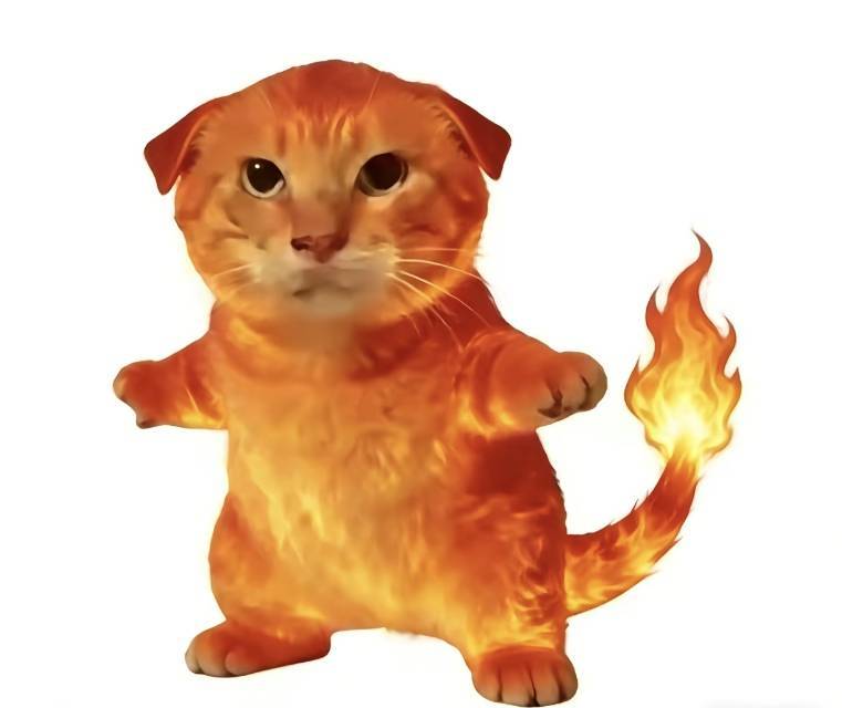 雷霆小红猫