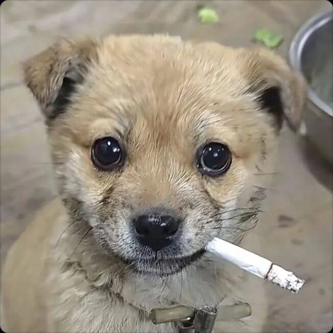 啦啦啦啦
