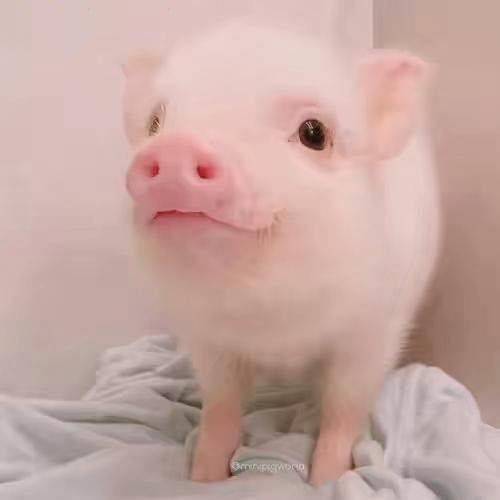 。