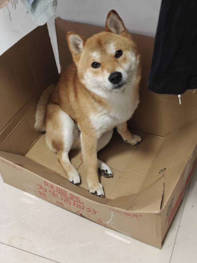 当风