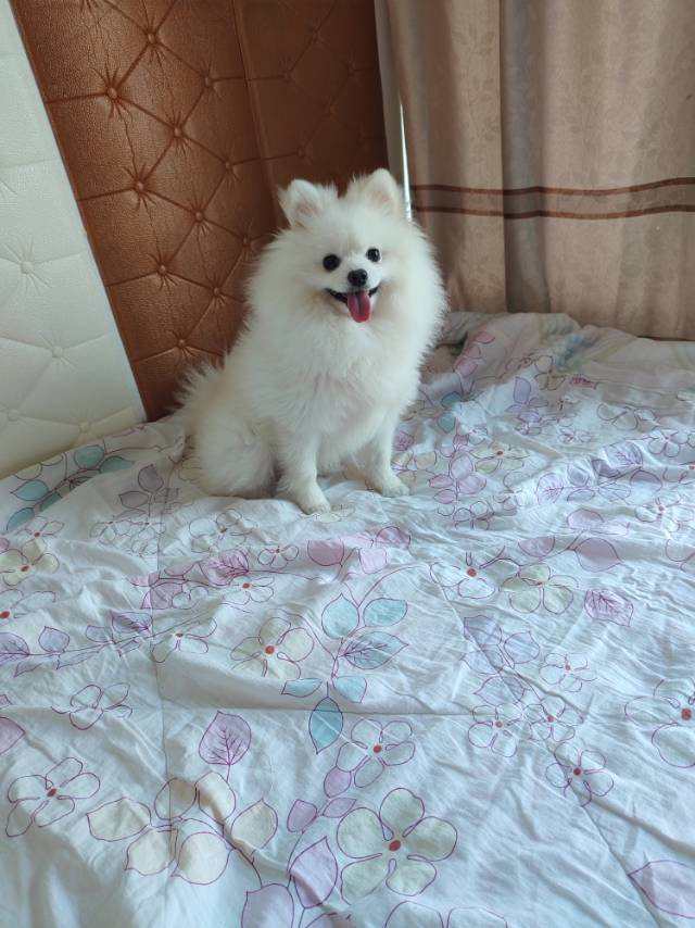 晴天