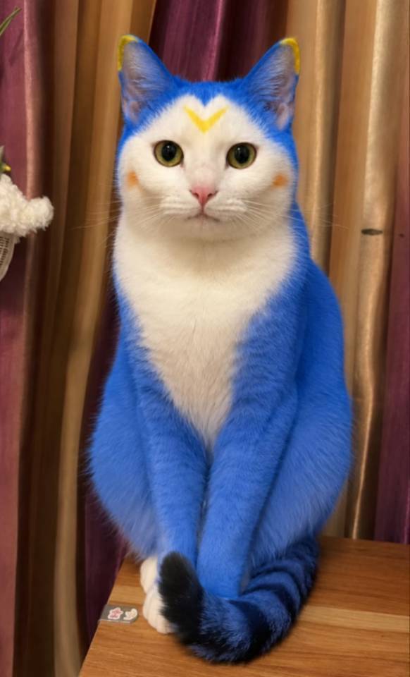 转租
