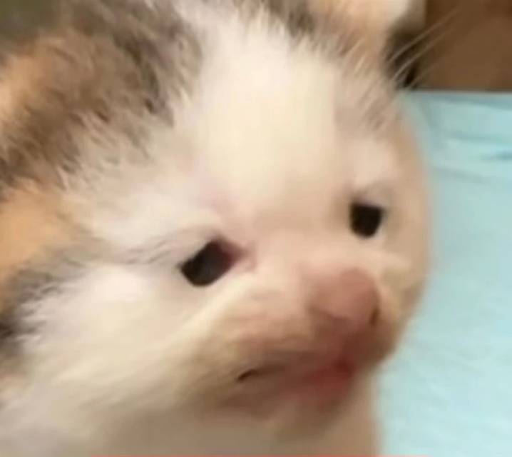 kkk