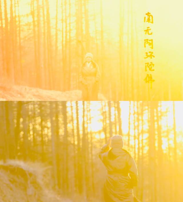 丽丽