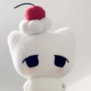 踏雪