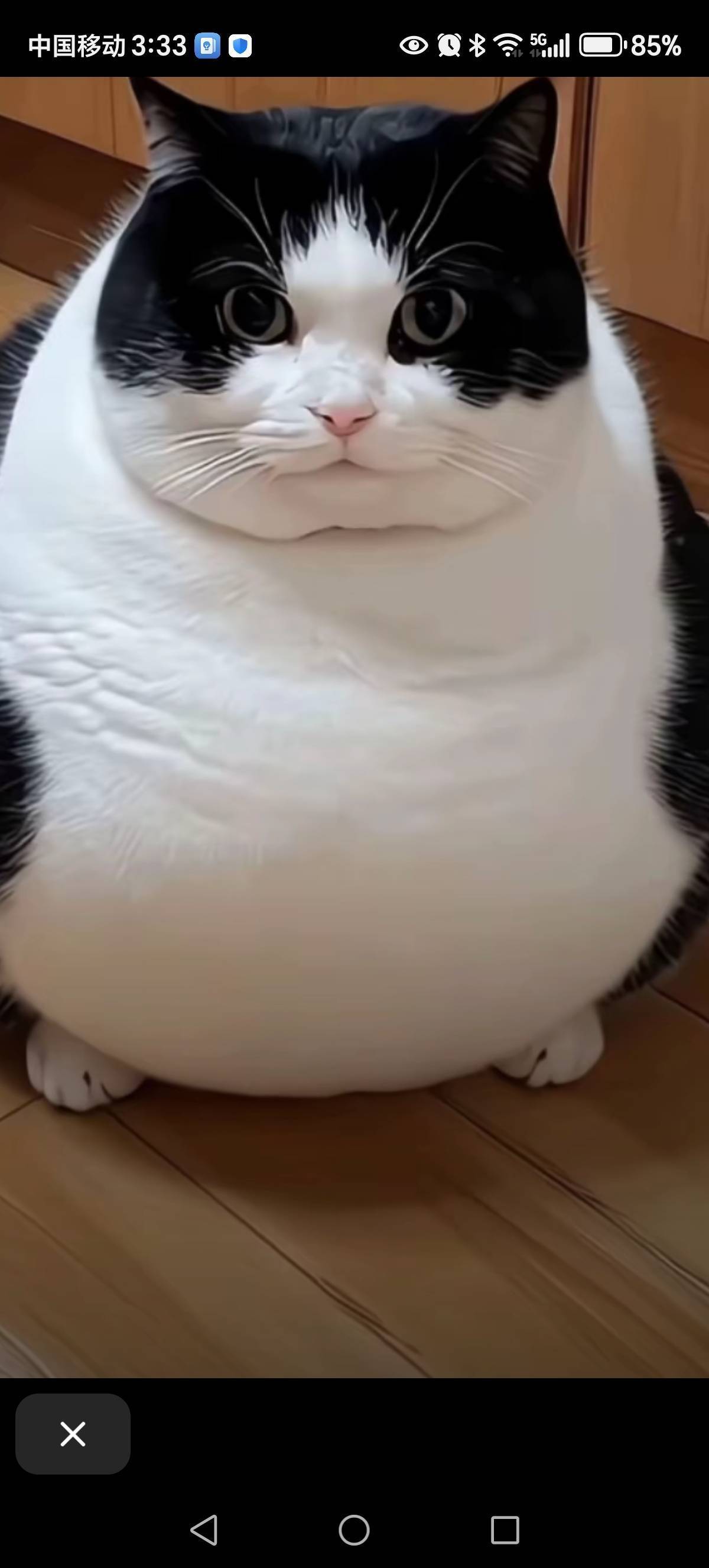 CJ