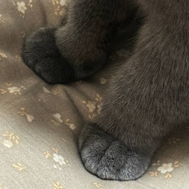 熬夜