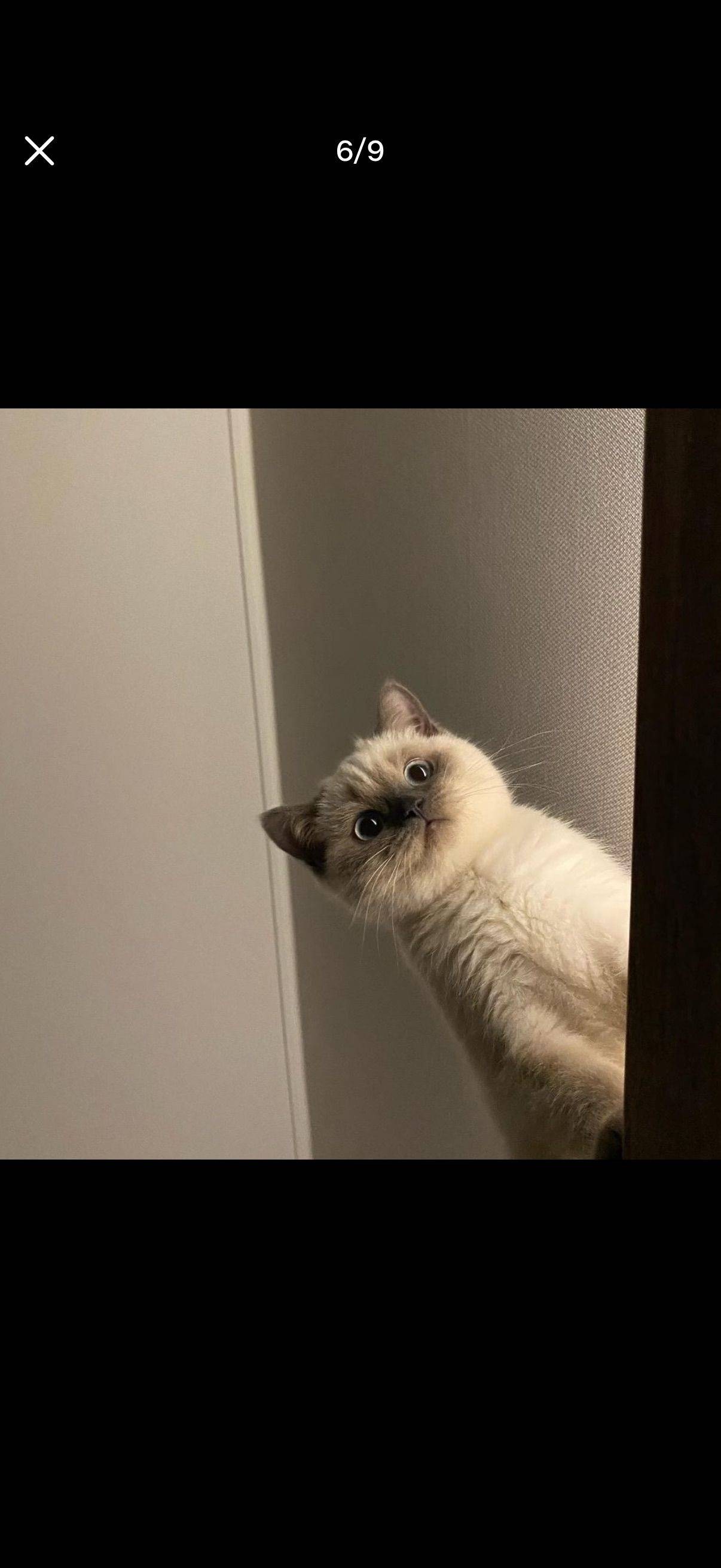 12543