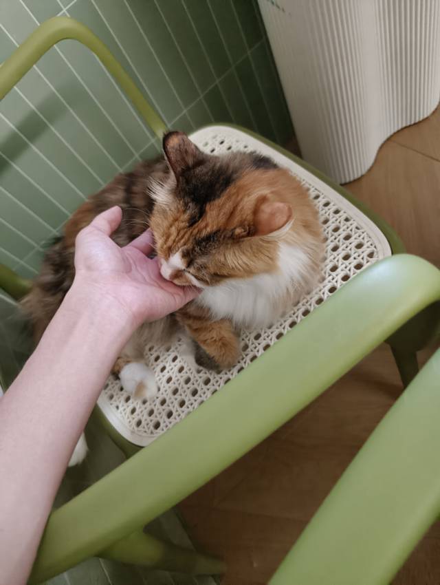 旧年