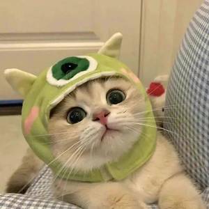 佐伊