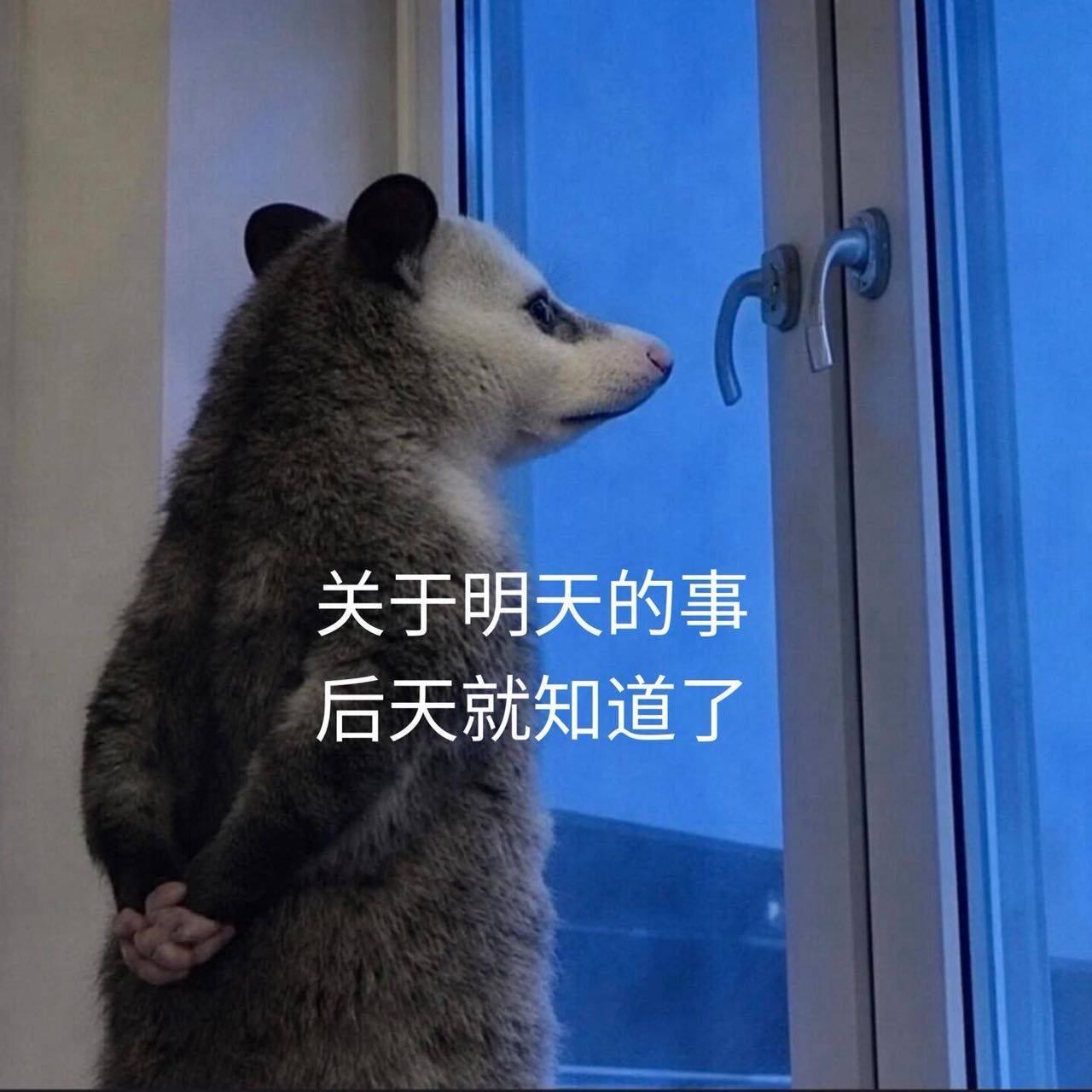 江离