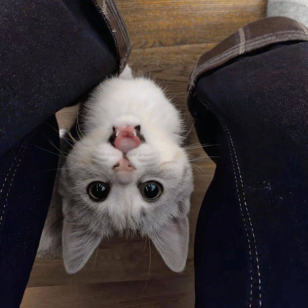 1.