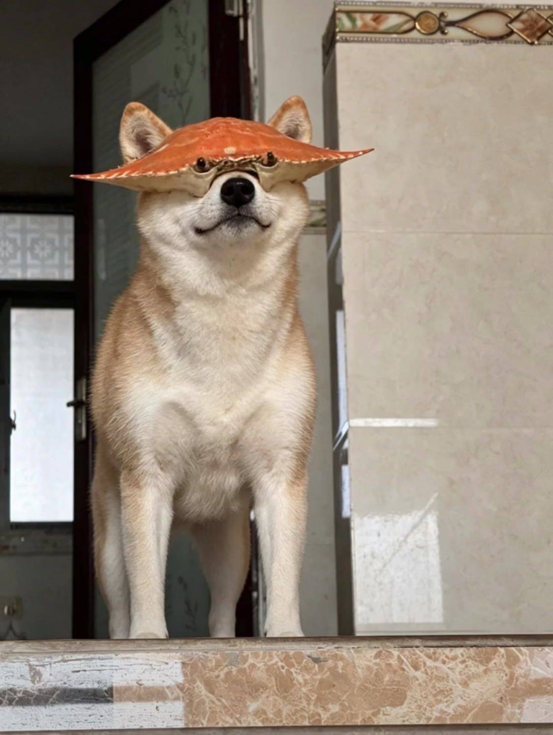 ㅤ