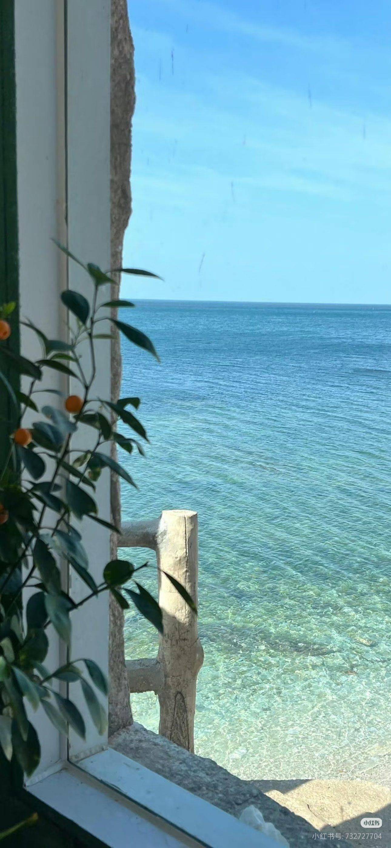 没找到租客不吃饭了