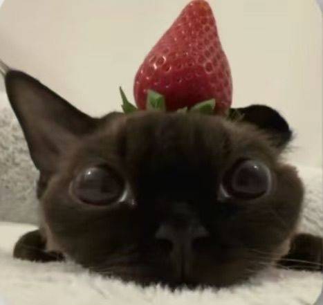 云泽