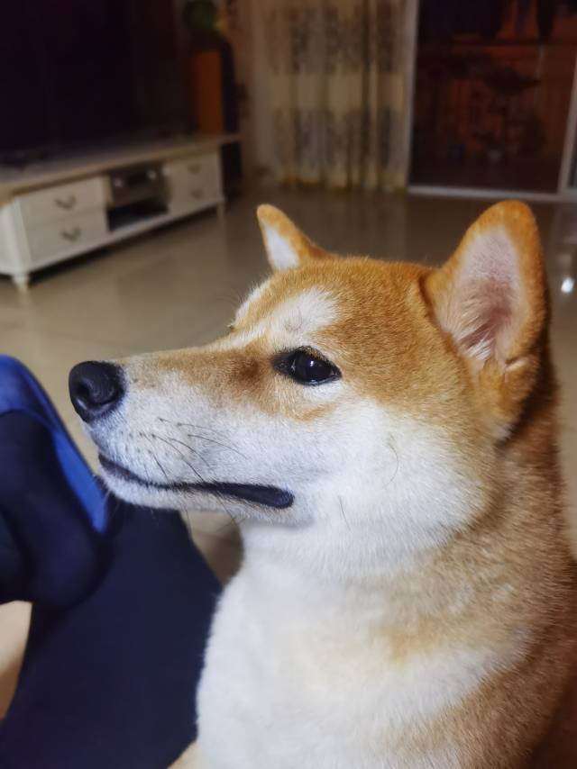 千予