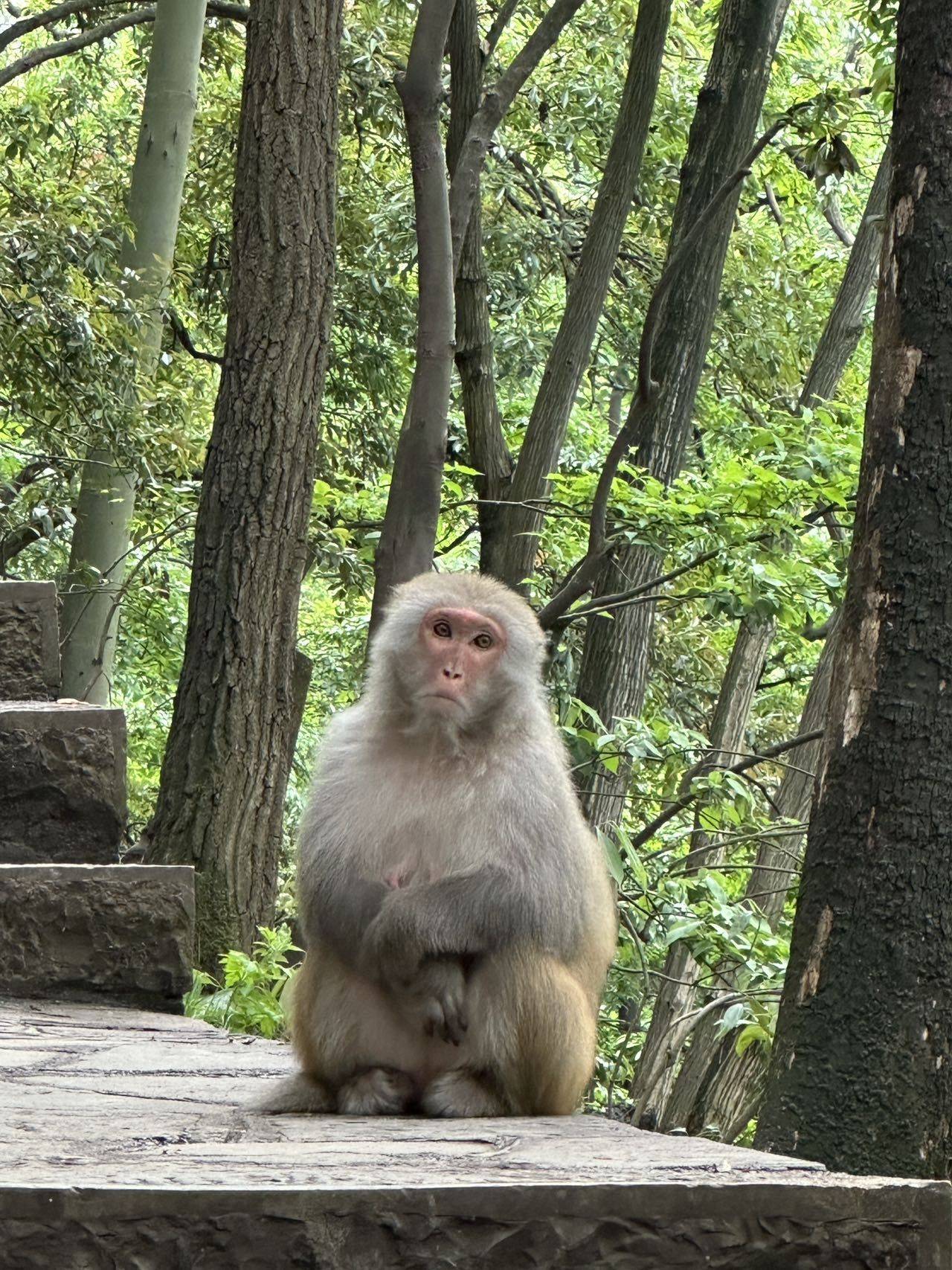 夏日夢長