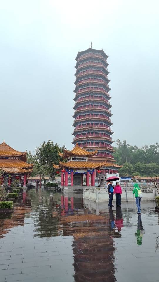 事与愿违，另有安排