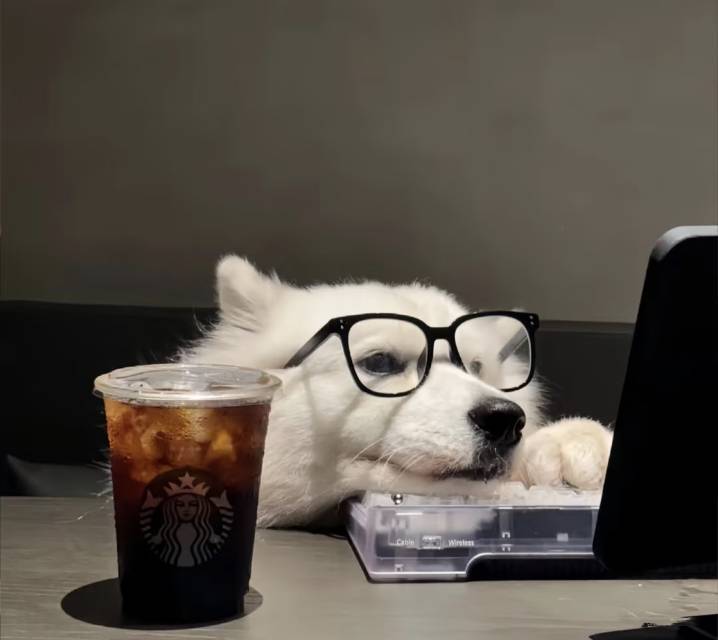 纯个人转租