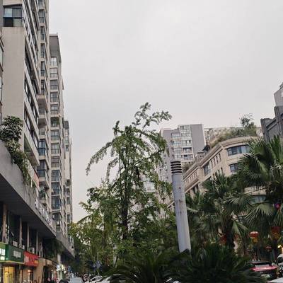 看飞碟