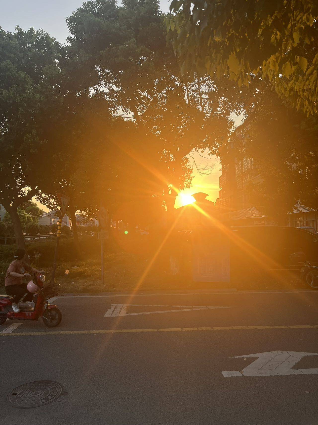 A       橘子姐姐🍊
