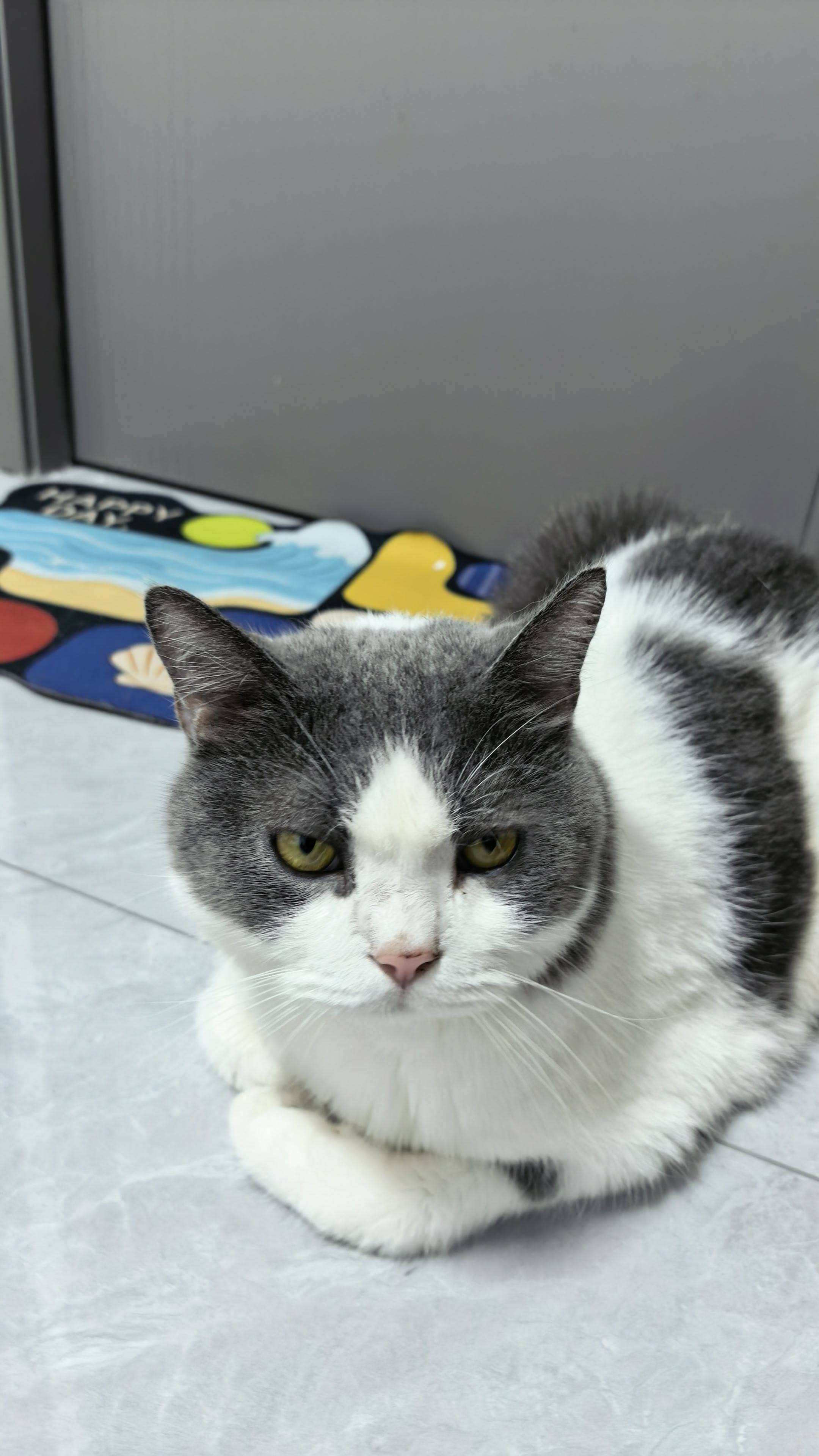 接吻高手
