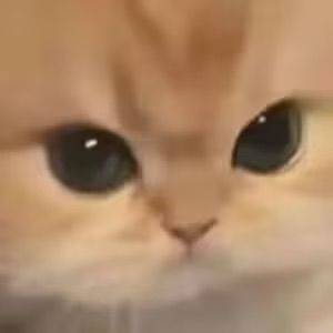 Alvin