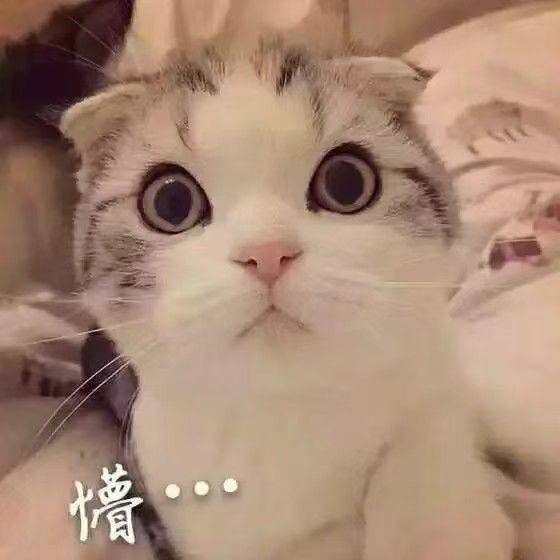 个人转租
