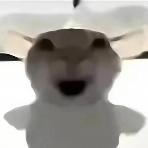干了这碗白糖