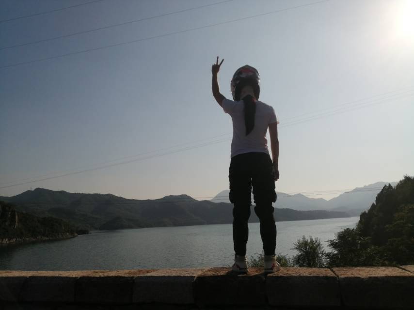 芝士就是力量