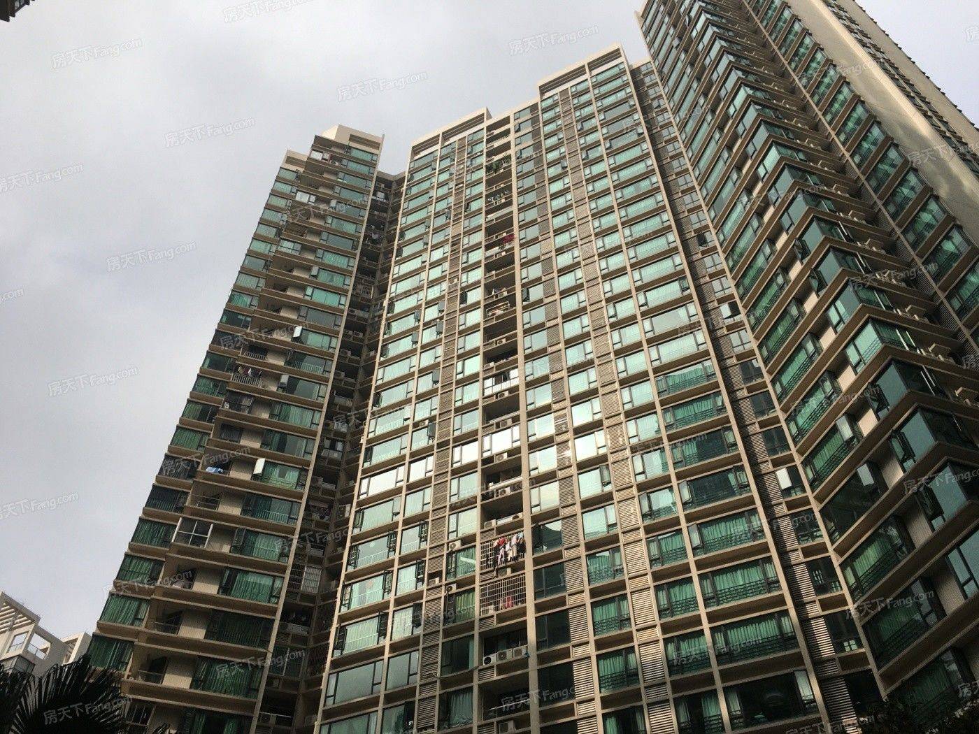 life_photo_2