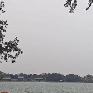 迷途小书童