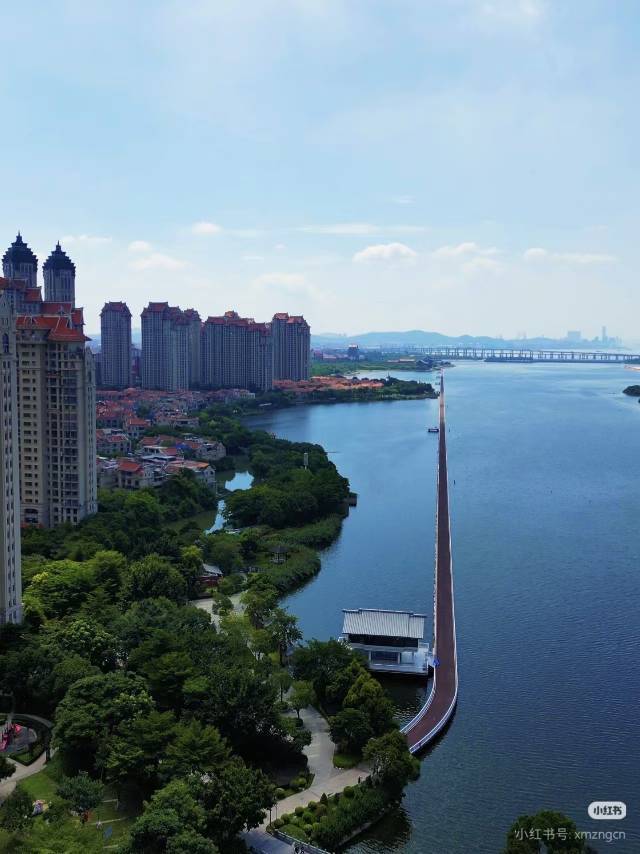 会说话的土豆