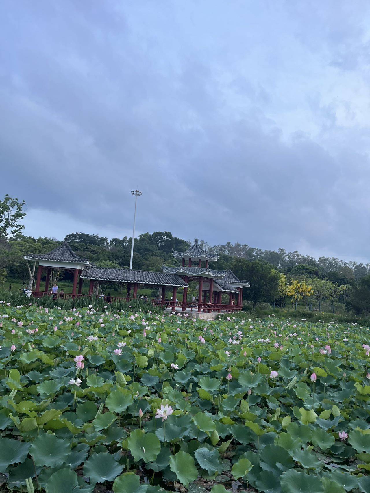 你好