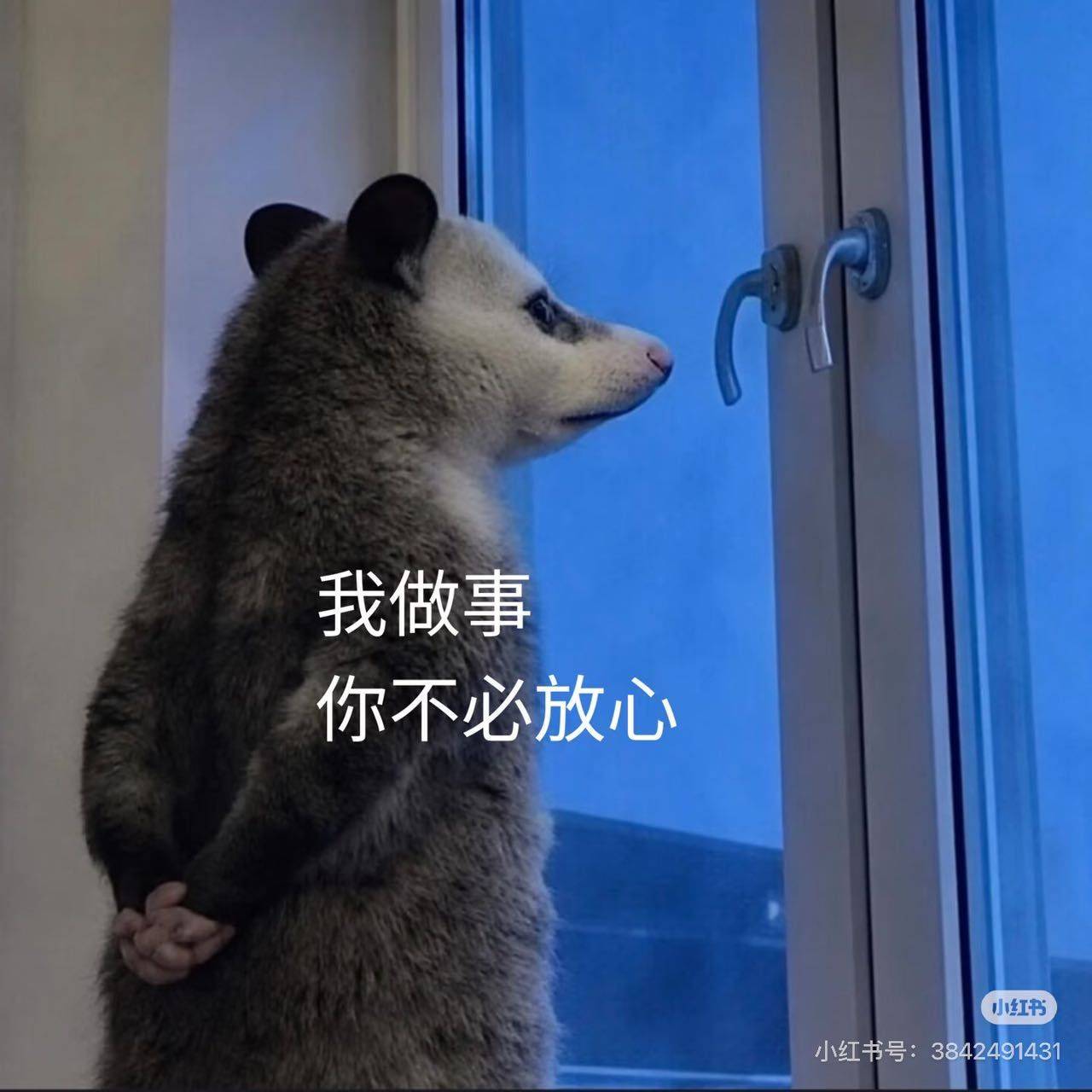 娜雅