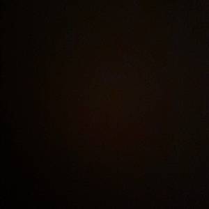 无花飘