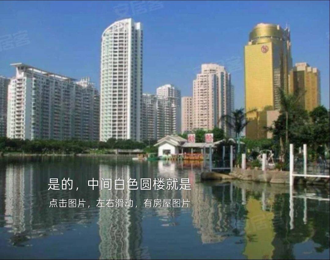 life_photo_3