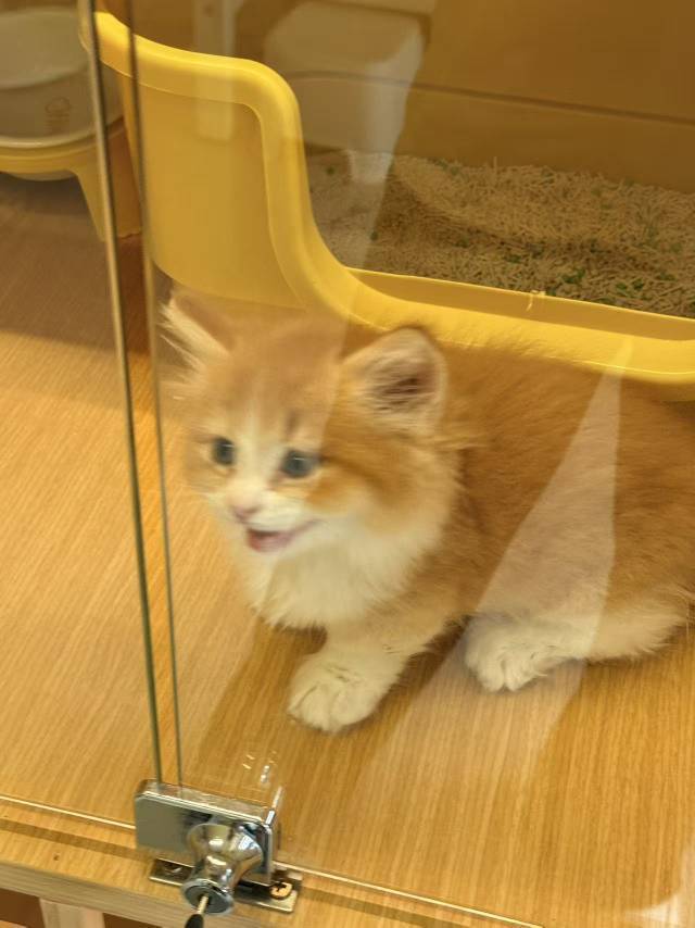元気.