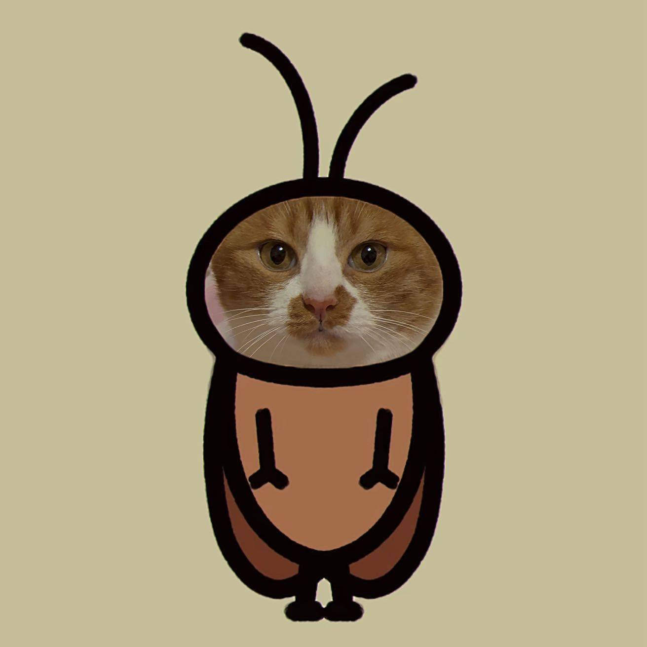 TUO