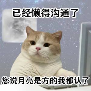 新北好房出租