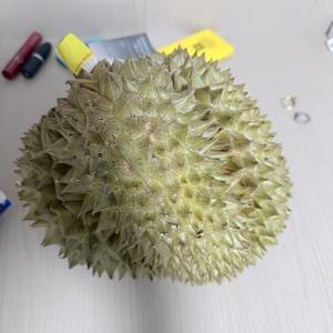 香菜