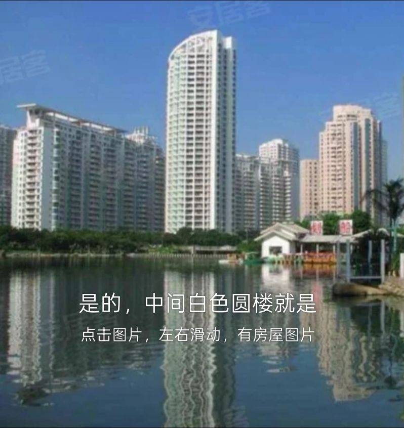 life_photo_1