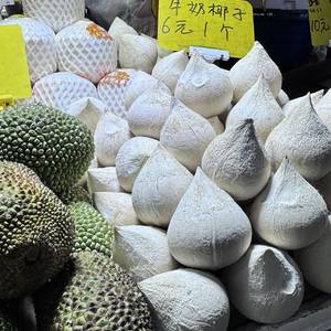 椰岛小屿主